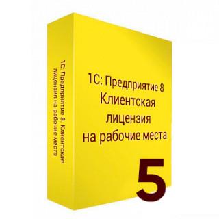 1С:Предприятие 8. Клиентская лицензия на 5 мобильных рабочих мест